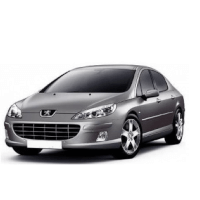 Roof box for Peugeot 407