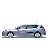 Roof box for Peugeot 407 SW