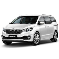 Kia CARNIVAL roof box 