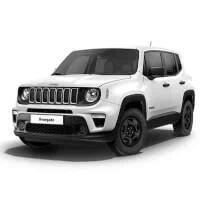 Jeep RENEGADE roof box 